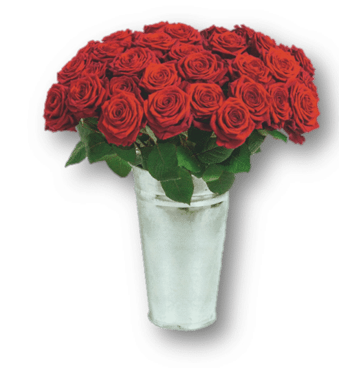 Roses du Dernier Adieu (20 roses)