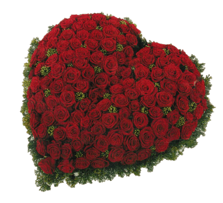 Cœur de Roses Rouges - Fleurs des Calanques