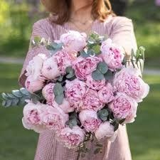 Bouquet de pivoines variété Sarah Bernhardt