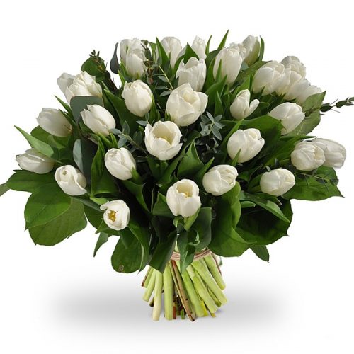Bouquet Tulipes Blanches