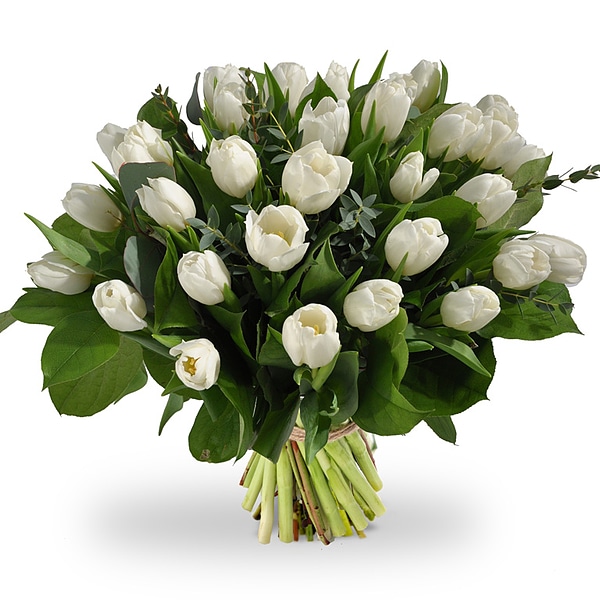 Bouquet Tulipes Blanches