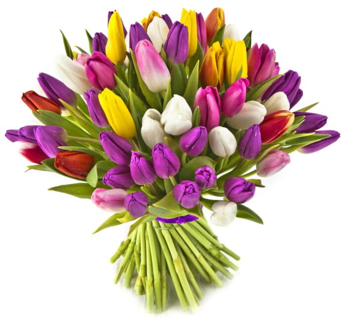 Bouquet Tulipes Mélangées